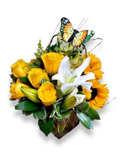 <p>A cube of nature and sunshine to make someone's day.</p>