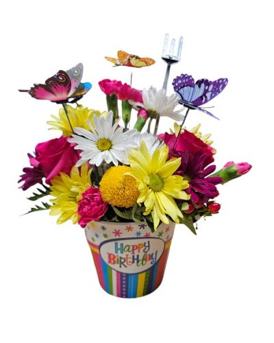 <p>A mix of mini carnations, daisies and roses arrive in melamine 4inch pot decorated with birthday script and butterflies.<br />
*** local delivery only ***</p>